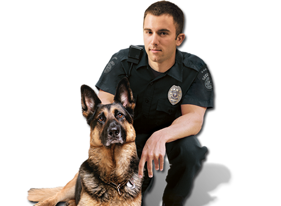 standard-element-image